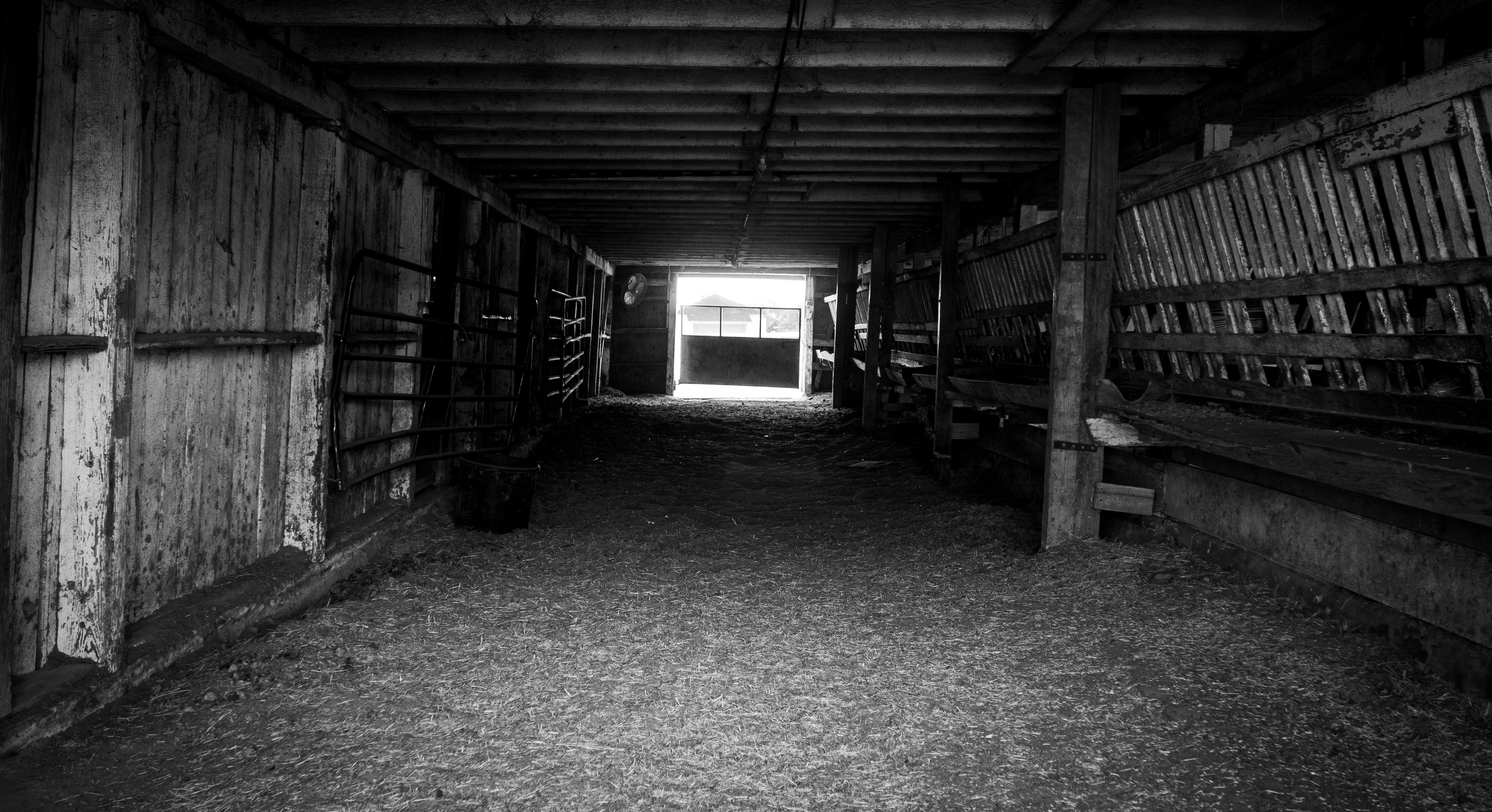 Interior space, George Ranch Historical Park
