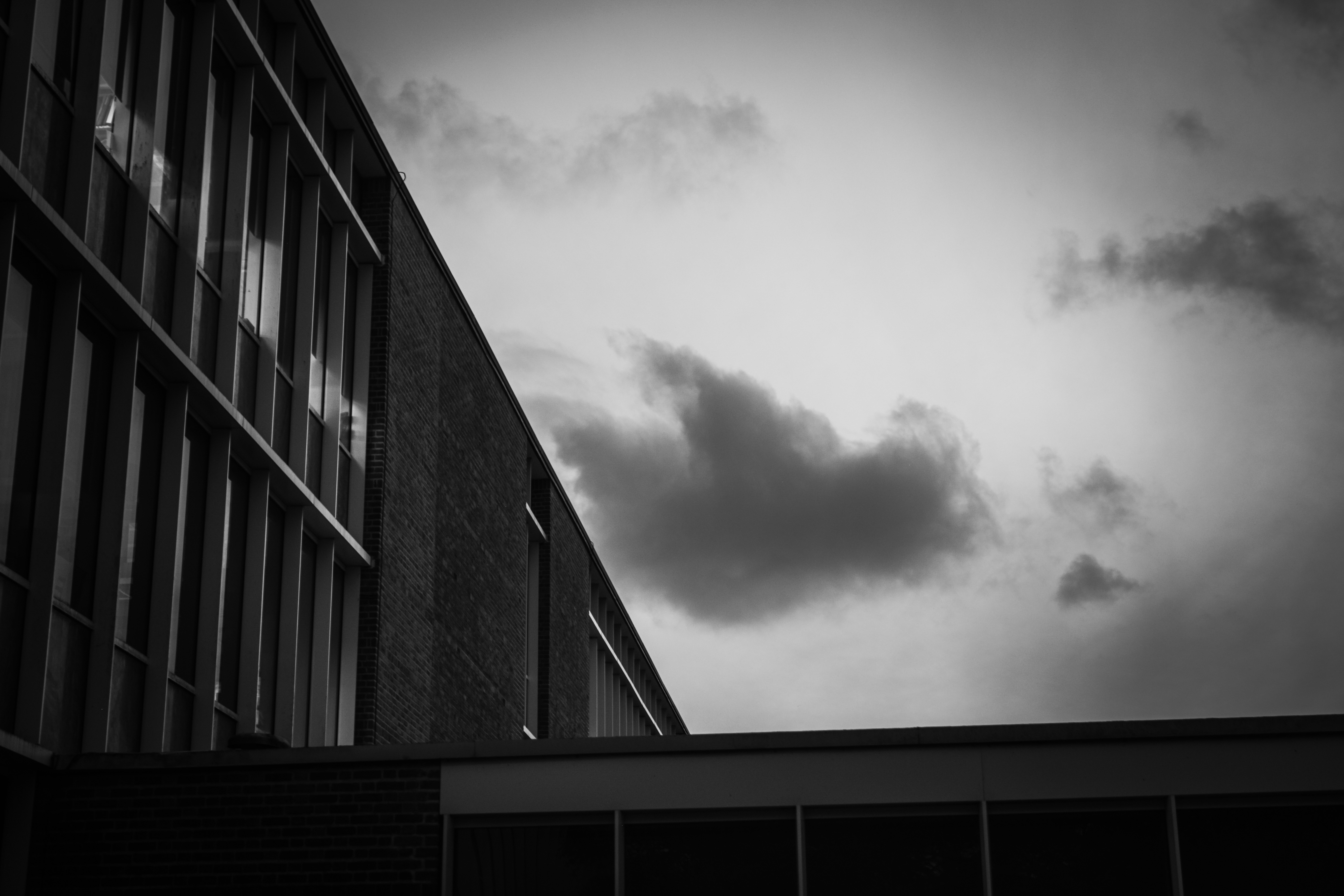 The Moveable Witness