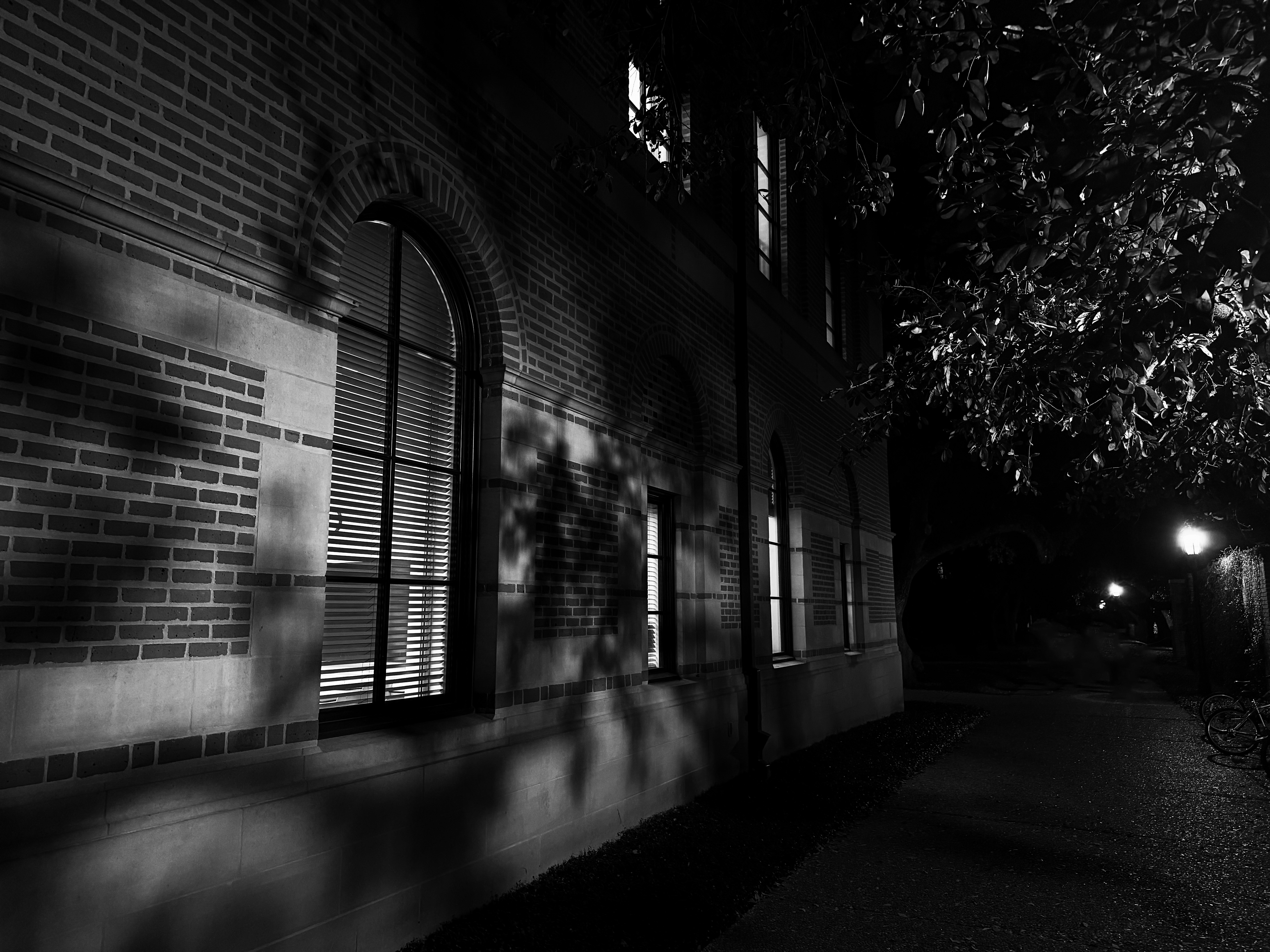The Kept Light